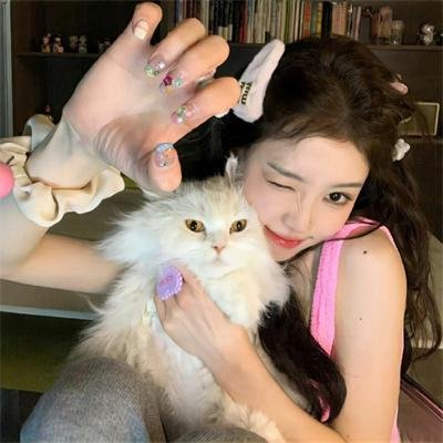 有招没招之爱情达人